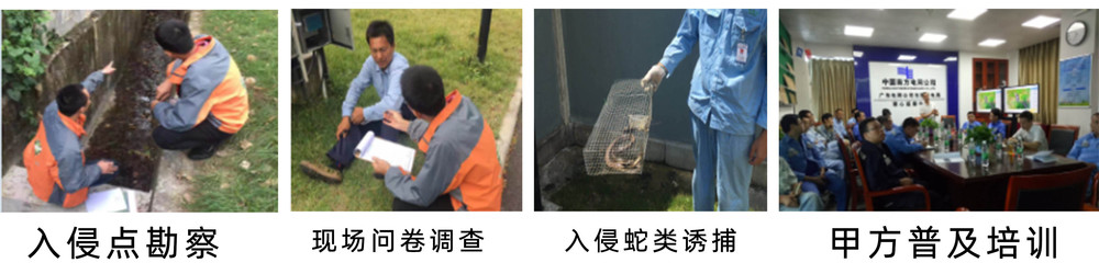 流程-3.jpg